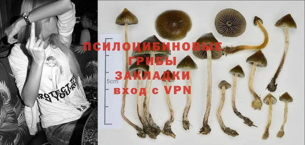 гидра Семикаракорск